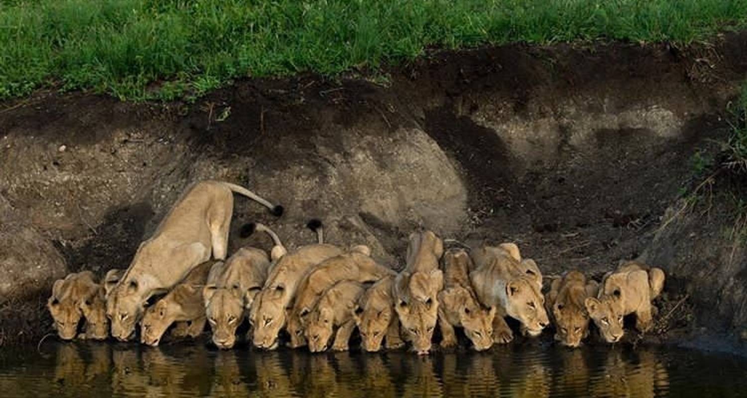 Volunteer Arusha Tanzania